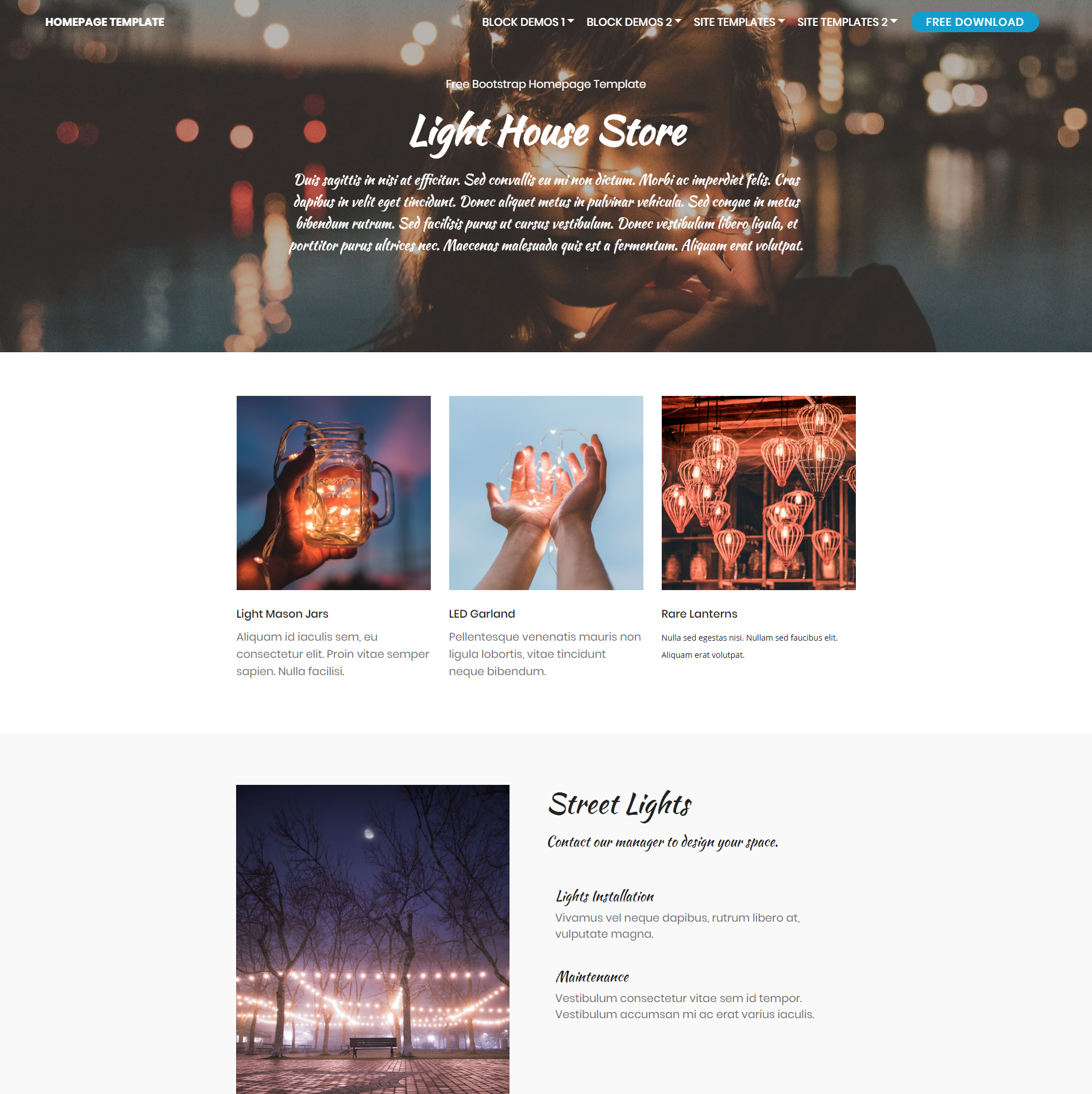CSS3 Bootstrap Homepage Templates