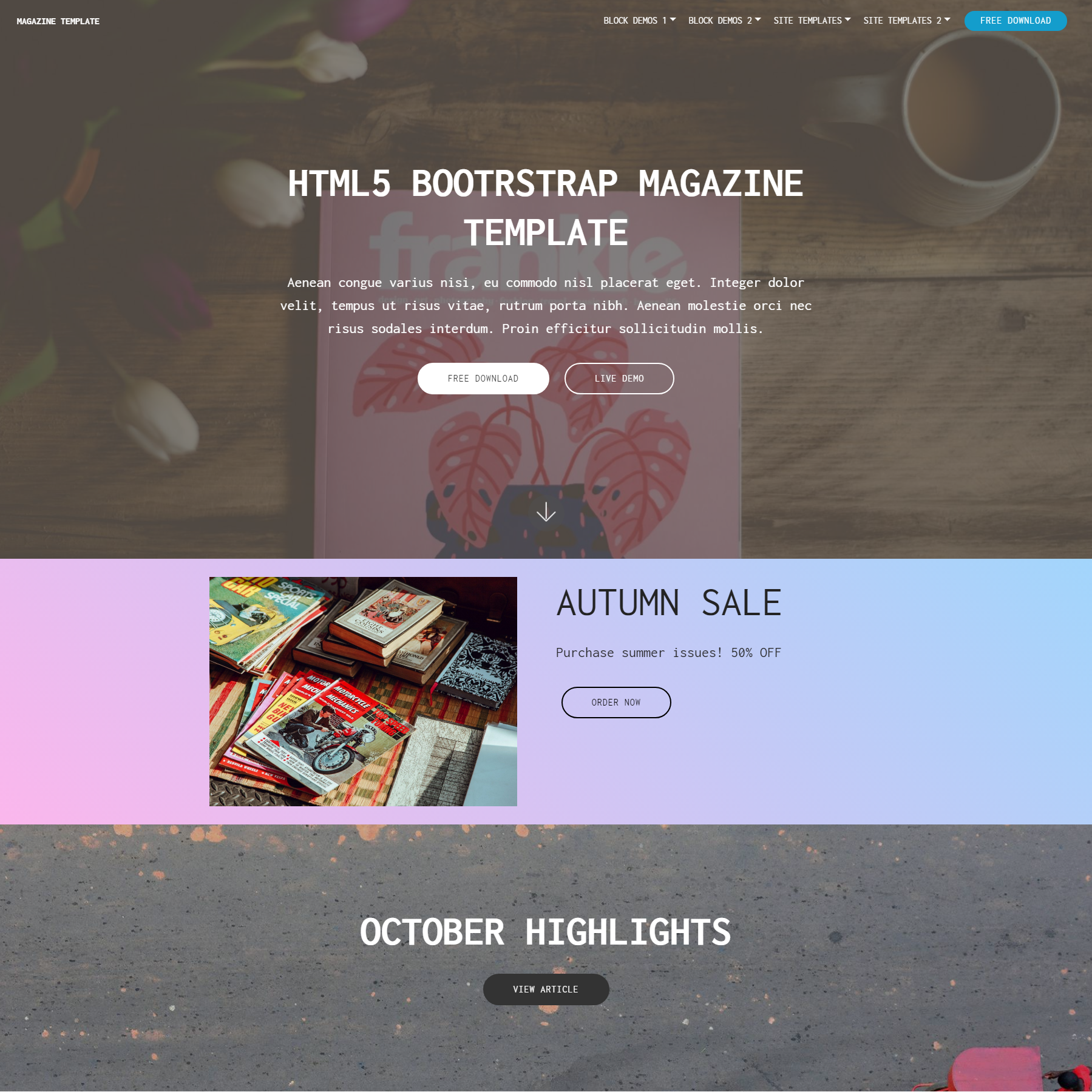 CSS3 Bootstrap Magazine Themes