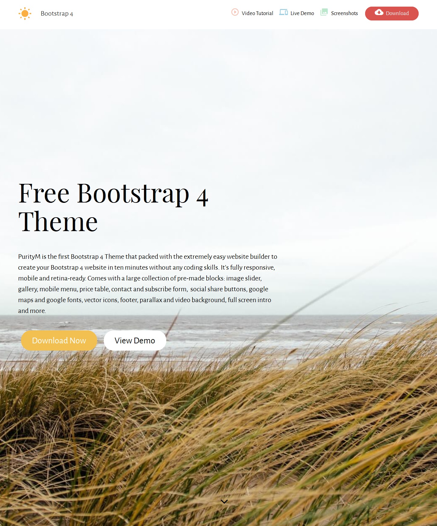 HTML5 Bootstrap App Theme